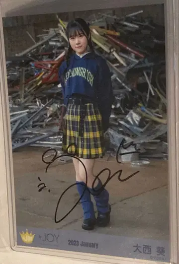 니아 조이 브로마이드 친필 오오니시 아오이