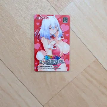 봄버걸 시로e-AMUSEMENTpass