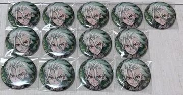 Dr.STONE 블랙 슈트 센쿠 캔뱃지