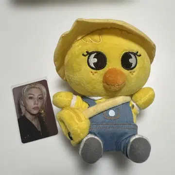 straykids Felix BbokAri(포가리) 트레이딩 카드