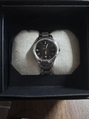 시티즌 크로시 한정판 모델 ES9490-79E 슈퍼 티타늄