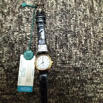 CITIZEN EXCEED 손목시계 (쿼츠) 골드/블랙