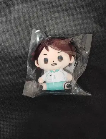 하이큐!! 못치비 오이카와 토오루 봉제 인형 마스코트