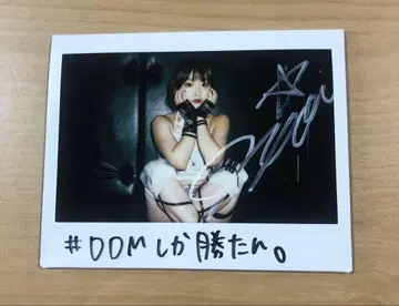 낫포이 친필 사인 폴라로이드