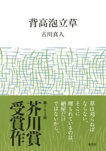 후루카와 마히토 등대꽃