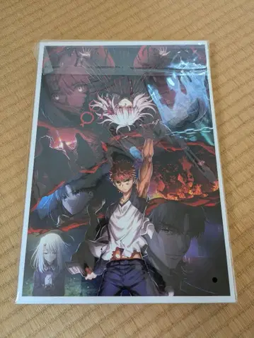 Fate stay night heaven'sfeel 극장 팜플렛 세트