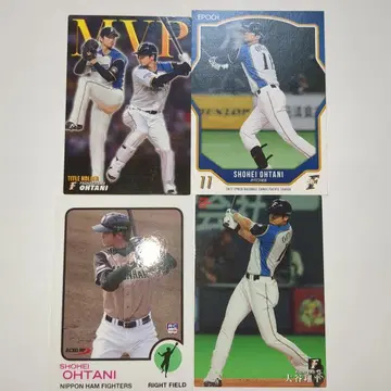 오타니 쇼헤이 니치햄 세트