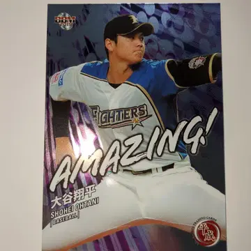 오타니 쇼헤이 니혼햄 AMAZING