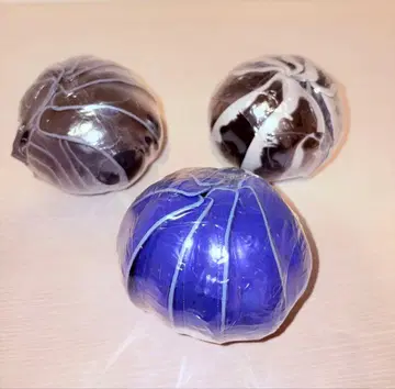 프리미엄 가샤폰 생물대도감 어드밴스 공벌레 컴플리트 세트