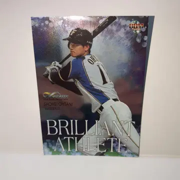 오타니 쇼헤이 니치햄