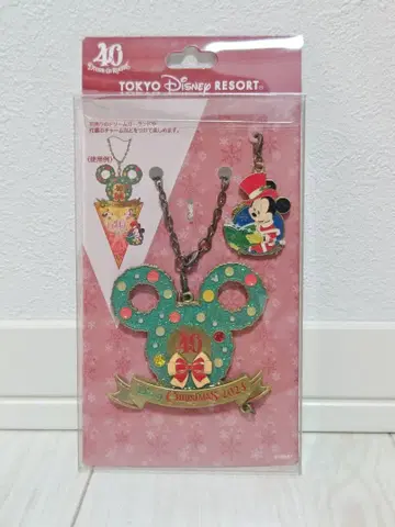 도쿄 디즈니랜드 40주년 크리스마스 백참