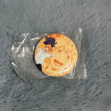 하이큐 애니멀 마스코트 캔뱃지 가챠 히나타 쇼요