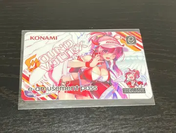 SDVX 사운드 볼텍스 e-amusement pass 레이시스