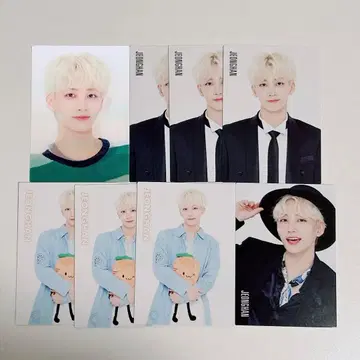 seventeen 트레이딩 카드 정한