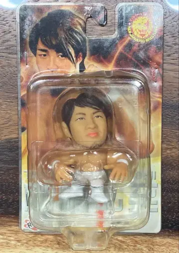 HAO 신일본 프로레슬링 타나하시 히로시 피규어