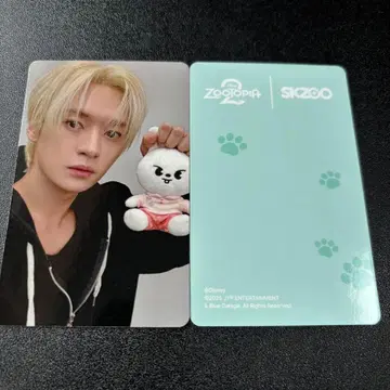 straykids 리노 주토피아2 굿즈 트레이딩 카드