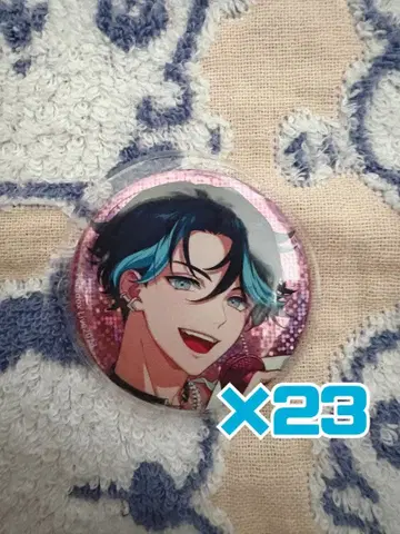 파라라이 아코 DS2023 캔뱃지 23개 세트