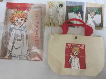 약속의 네버랜드 클리어 파일 클리어 카드 미개봉 엠마 레이 돈