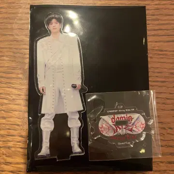 straykids 스키즈 VR 라이브 승민