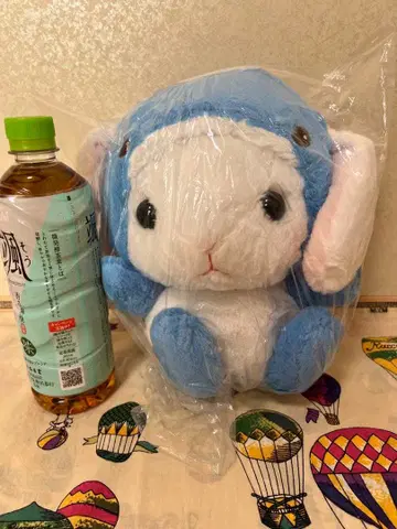 포테우사 롯삐 유루구루미 수족관 JB 시로삐 상어