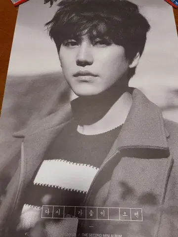 슈퍼주니어 포스터 규현