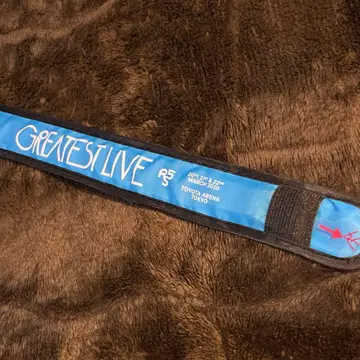 RIP SLYME GREATEST LIVE 라이트 블레스 밴드 파랑