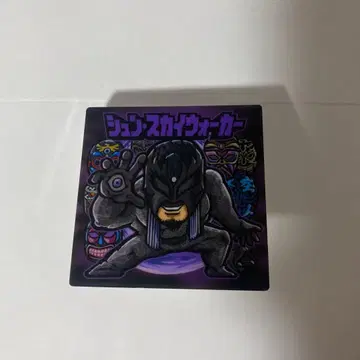 드래곤 게이트 프리즘 클립 슌 스카이 워커 선수