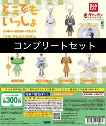 도코데모 잇쇼 메지루시 액세서리 컴플리트 세트