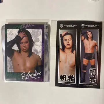 드래곤게이트 히네리아게 폴라로이드풍 카드 호키 선수 묶음 판매