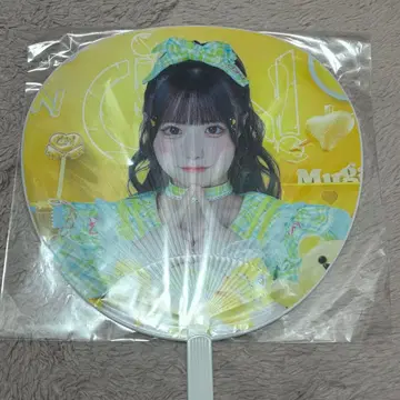 iON 쿠리스 무기 부채