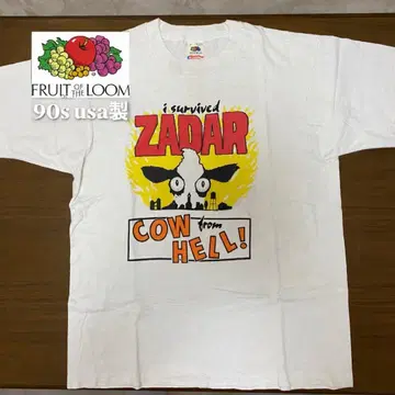 FRUIT OF THE LOOM 90s 셔츠