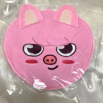 StrayKids/skzoo 부채 커버/DWAEKKI