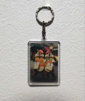 레어 칩과 데일 아크릴 키링 아메후로 신문 배달 디즈니씨