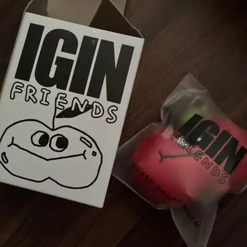 BTS JIN 진 IGIN 콜라보 키링