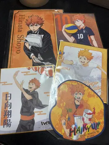 하이큐!! 미니 색지류 히나타 세트