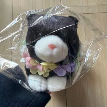 조이풀메이트 TAKENOKO 고양이 봉제 인형