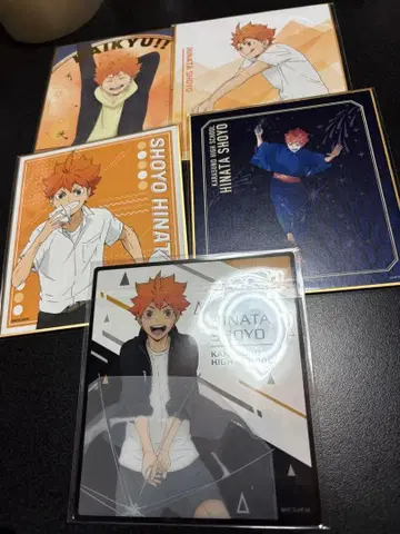 하이큐!! 미니 색지류 히나타 세트