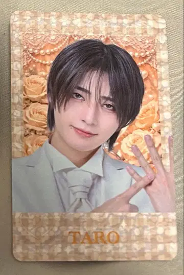 RINDO SHOP 러브시크 랜덤 트레이딩 카드 타로