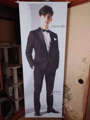 CHANG MIN 포스터 태피스트리