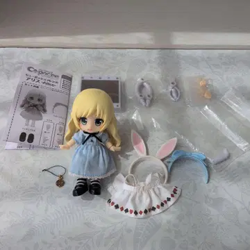 큐포쉬 프렌즈 앨리스