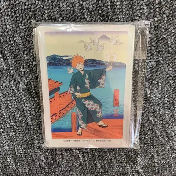 하이큐 아크릴 블록 히나타 쇼요