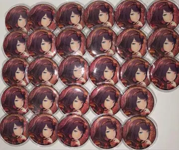 호시노 이치카 28개 묶음 판매