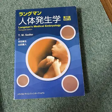 랑그만 인체 발생학