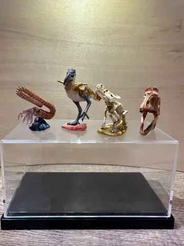 카이요도 고대 공룡 피규어 시리즈