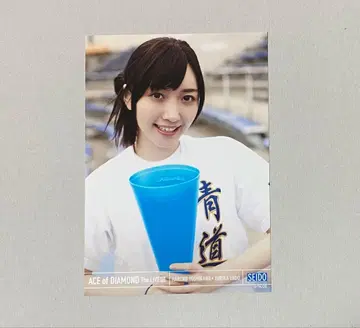 엔도 유리카 다이아몬드 A The LIVE III 브로마이드