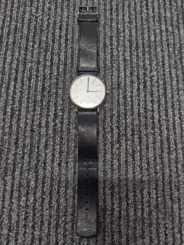 SKAGEN 손목시계 SKW6353 스카겐