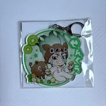 [ 익명 배송 ] Dr.STONE 닥터스톤 이시가미 센쿠 아크릴 키링