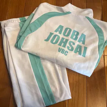 하이큐 아오바죠사이 저지 L