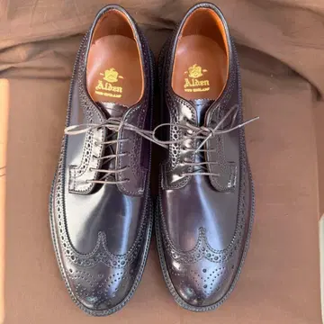 스틸 장착 알든 975 8HD 코도반 윙팁