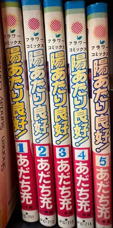 햇살 좋은! 나인 전권 세트 2 종류